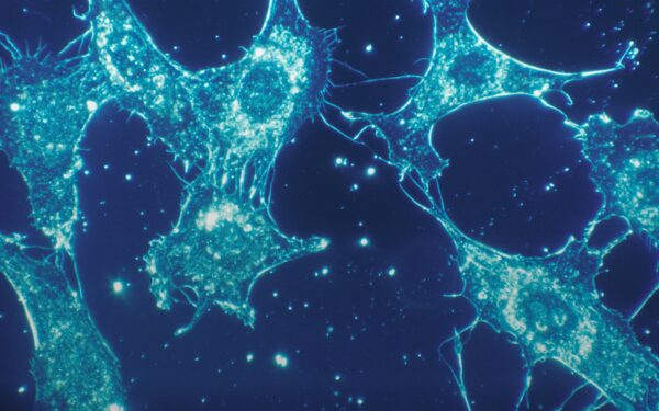 Ekspertai perspėja dėl biologinių ginklų: naujos technologijos gali pakeisti karo taisykles