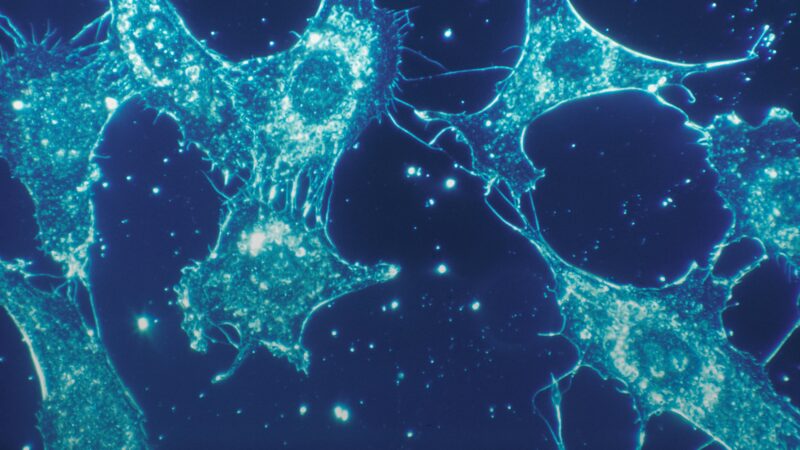 Ekspertai perspėja dėl biologinių ginklų: naujos technologijos gali pakeisti karo taisykles