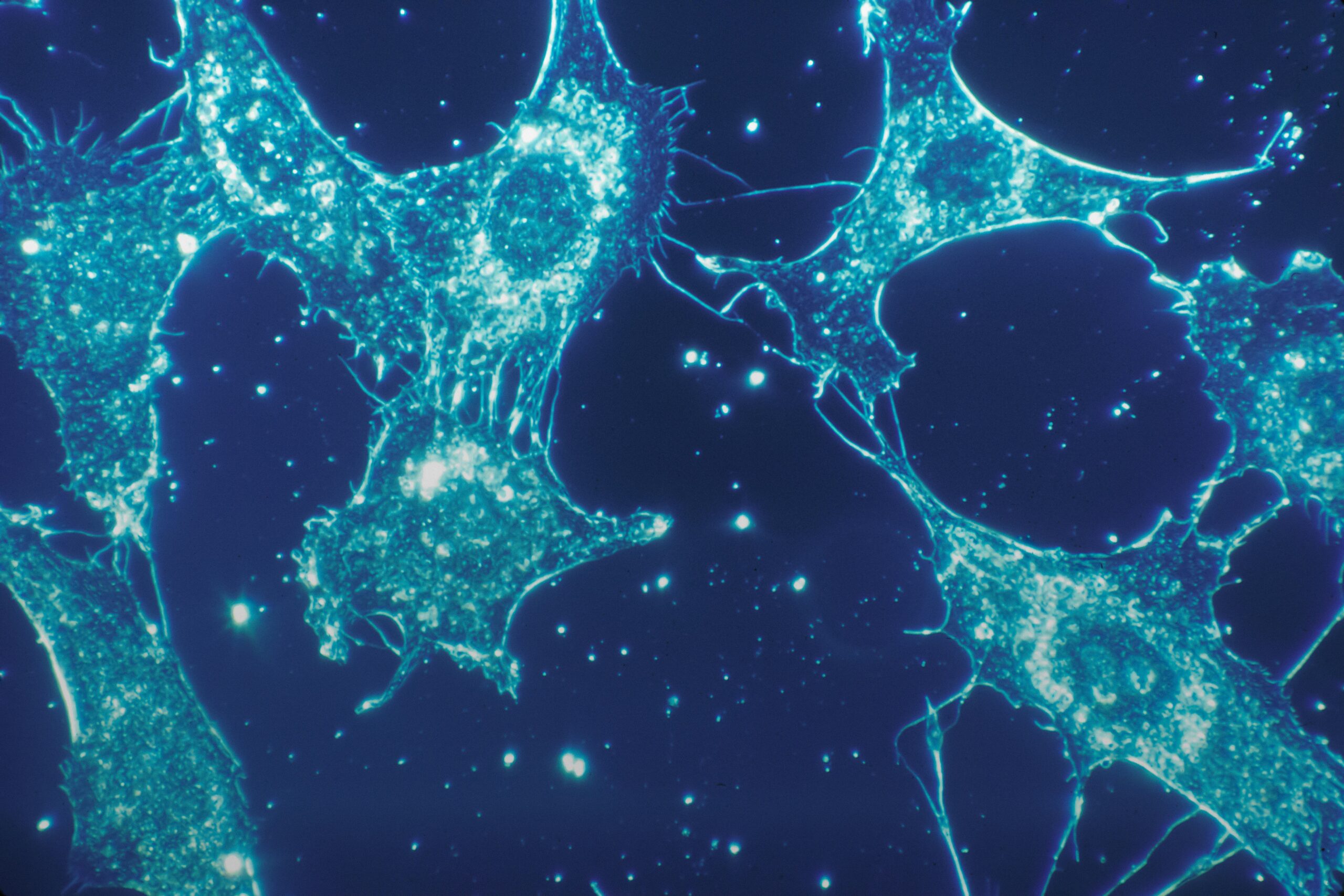Ekspertai perspėja dėl biologinių ginklų: naujos technologijos gali pakeisti karo taisykles