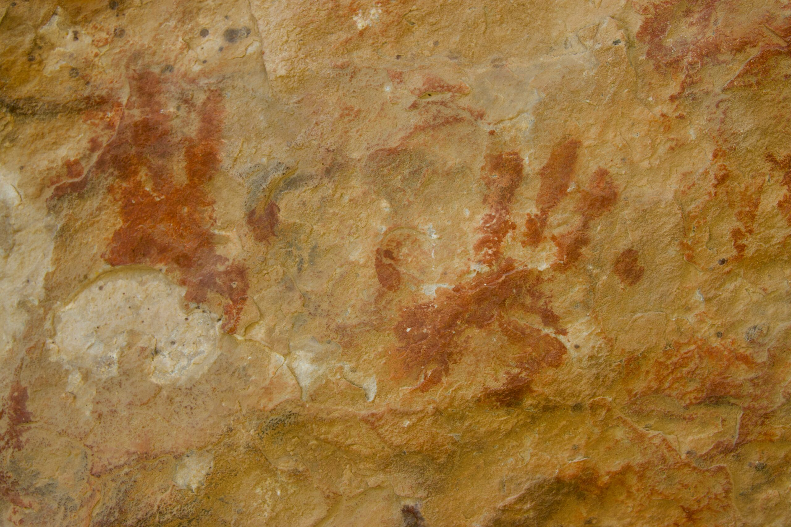Neandertaliečiai. Unsplash nuotr
