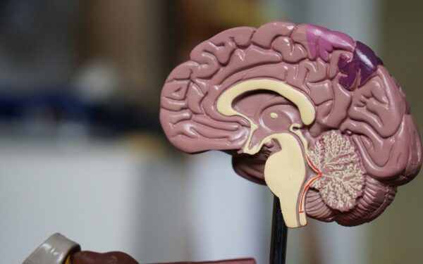 Naujas ginklas prieš Parkinsono ligą: smegenų implantas realiu laiku prisitaiko prie paciento simptomų