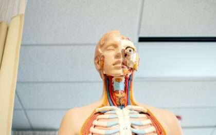 Mokslas vis labiau keičia mūsų supratimą apie gyvybę: atsakymas gali būti keistesnis, nei manėme