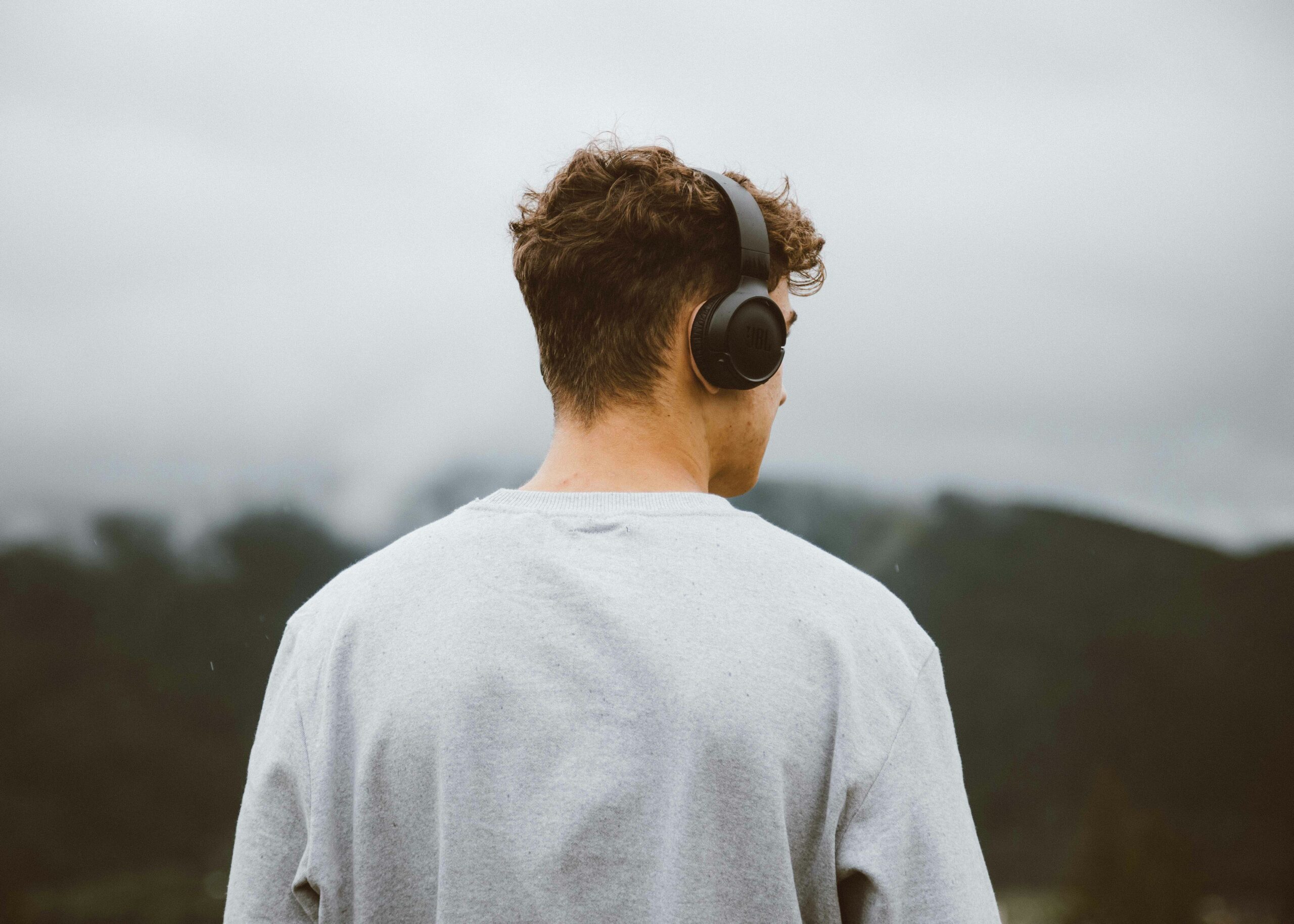 Ausinės. Unsplash nuotr