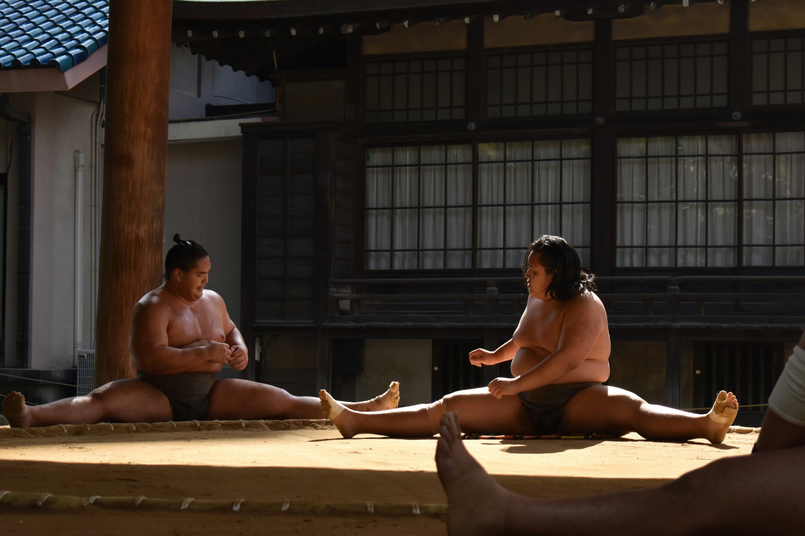 Sumo imtynės. Unsplash nuotr
