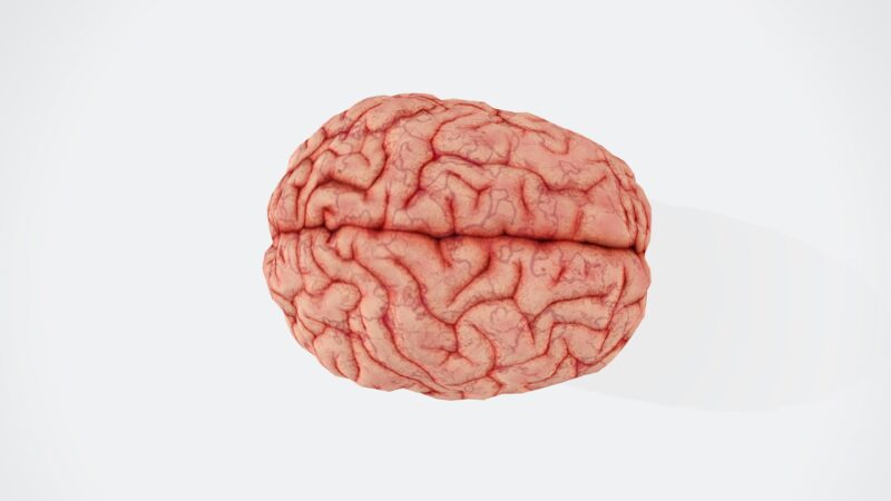 Negalite pakęsti tam tikro maisto? Mokslininkai sako, kad smegenis galima „perprogramuoti“