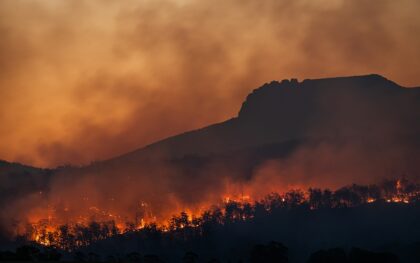 Europoje vėl įsisiautėjo karščio banga: liepsnos artėja prie namų, pradėta evakuacija