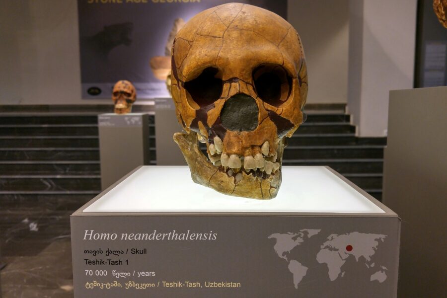 Neandertaliečiai. Unsplash nuotr