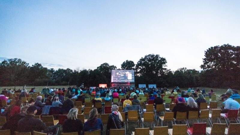 Vasaros kino vakarai po atviru dangumi: kaip skirtingi Lietuvos miestai kuria naują bendruomeniškumo tradiciją