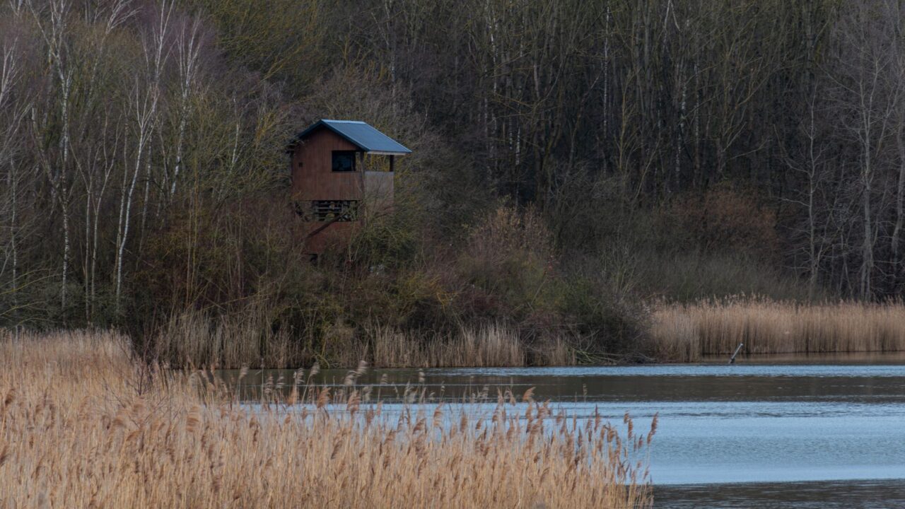 Krekenavos regioninis parkas iš arti: ką šiandien atranda keliautojai tarp Nevėžio kilpų ir Švč. Mergelės Marijos stebuklo